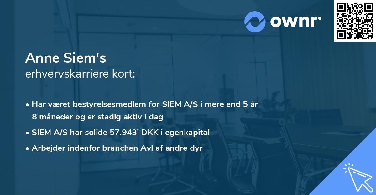 Anne Siem's erhvervskarriere kort