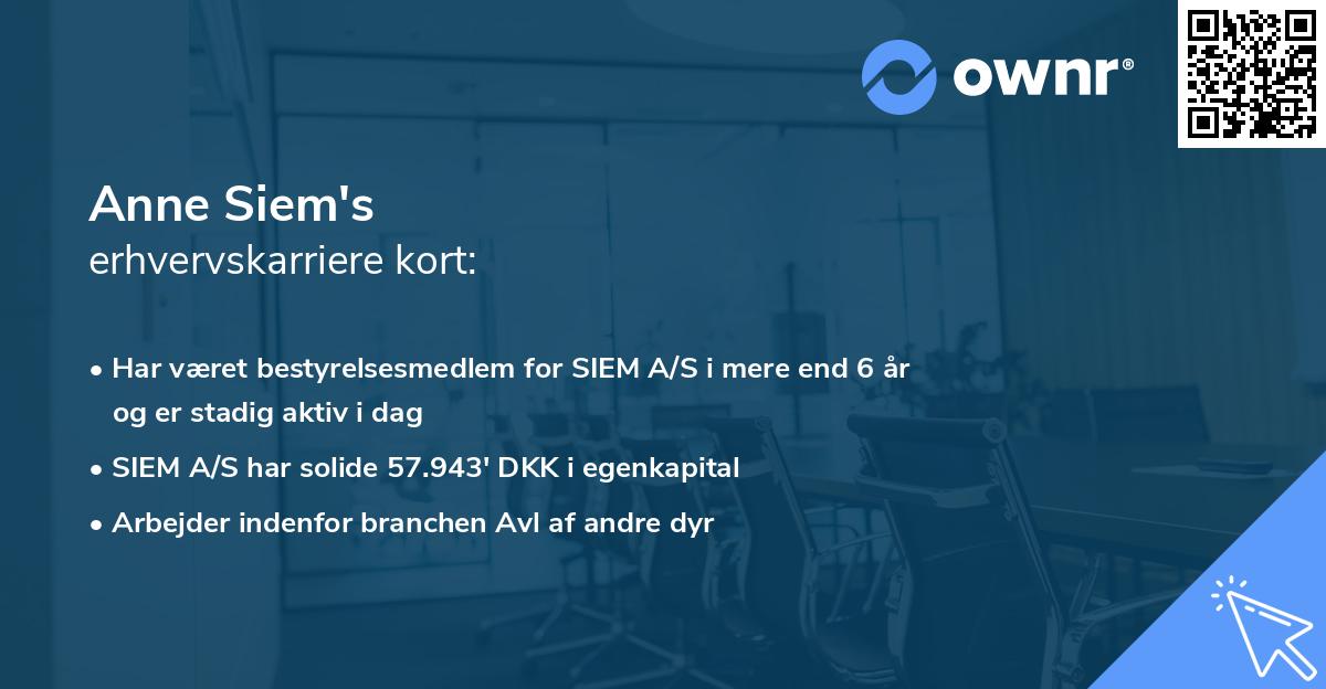 Anne Siem's erhvervskarriere kort