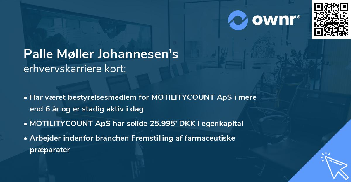 Palle Møller Johannesen's erhvervskarriere kort