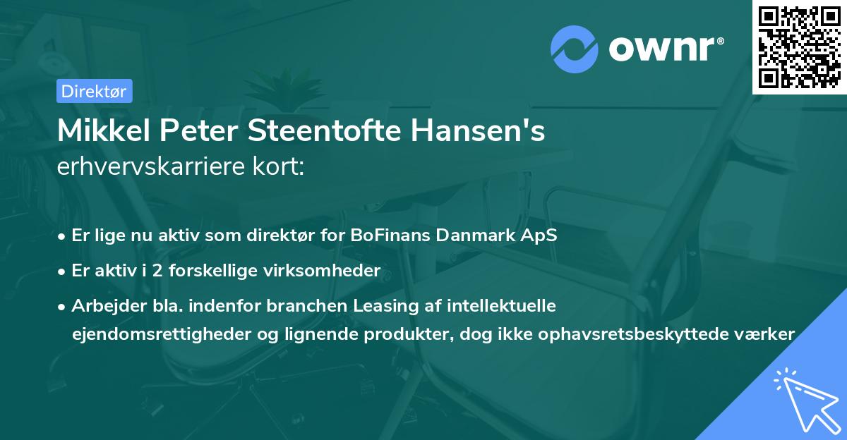Mikkel Peter Steentofte Hansen's erhvervskarriere kort