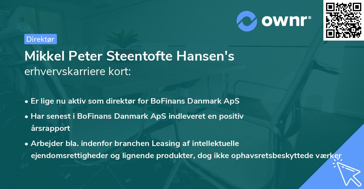 Mikkel Peter Steentofte Hansen's erhvervskarriere kort