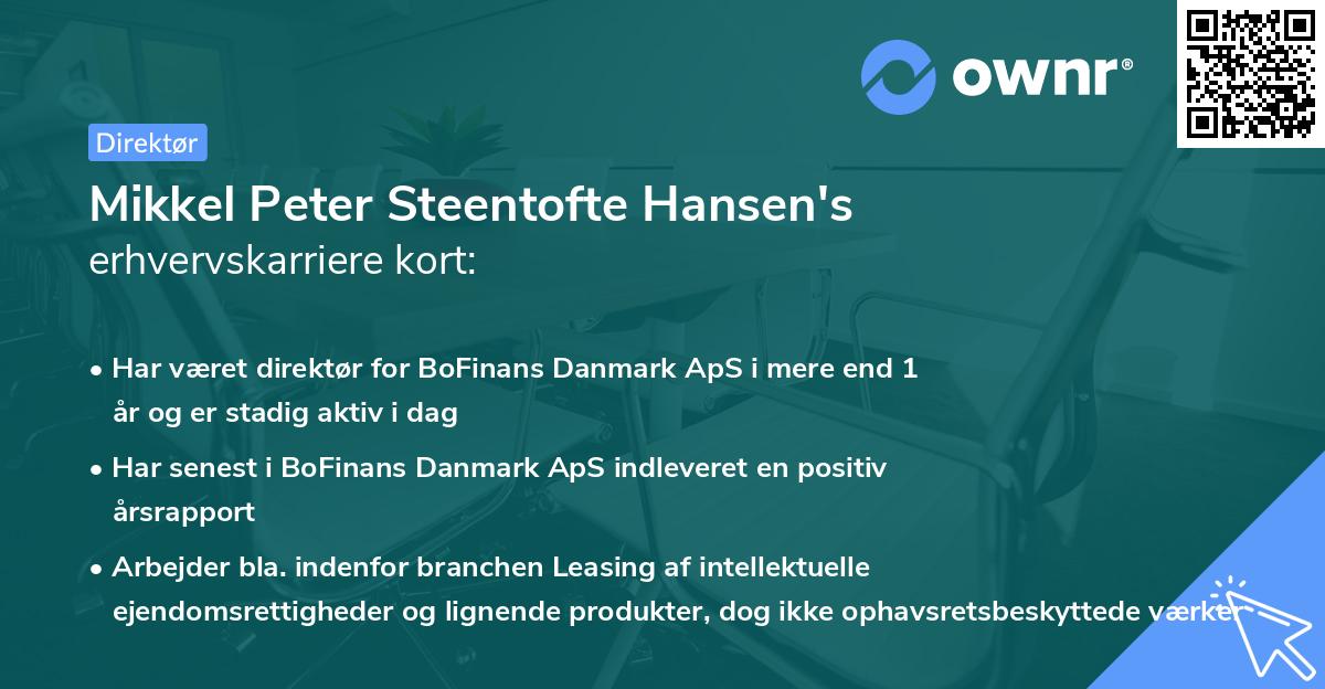 Mikkel Peter Steentofte Hansen's erhvervskarriere kort