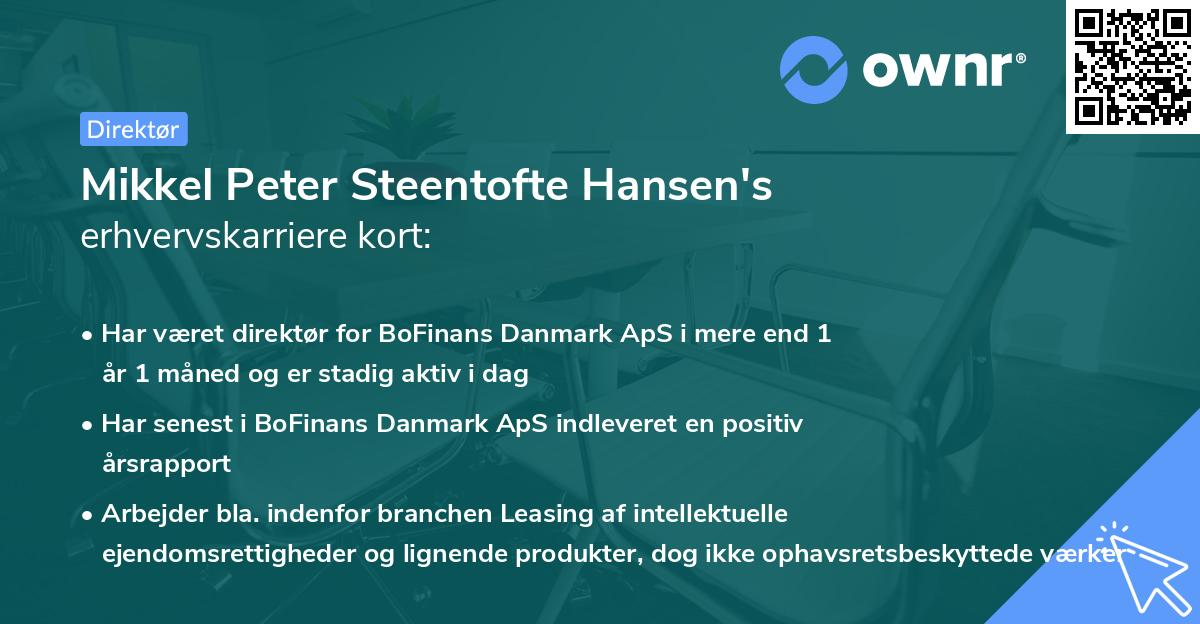 Mikkel Peter Steentofte Hansen's erhvervskarriere kort