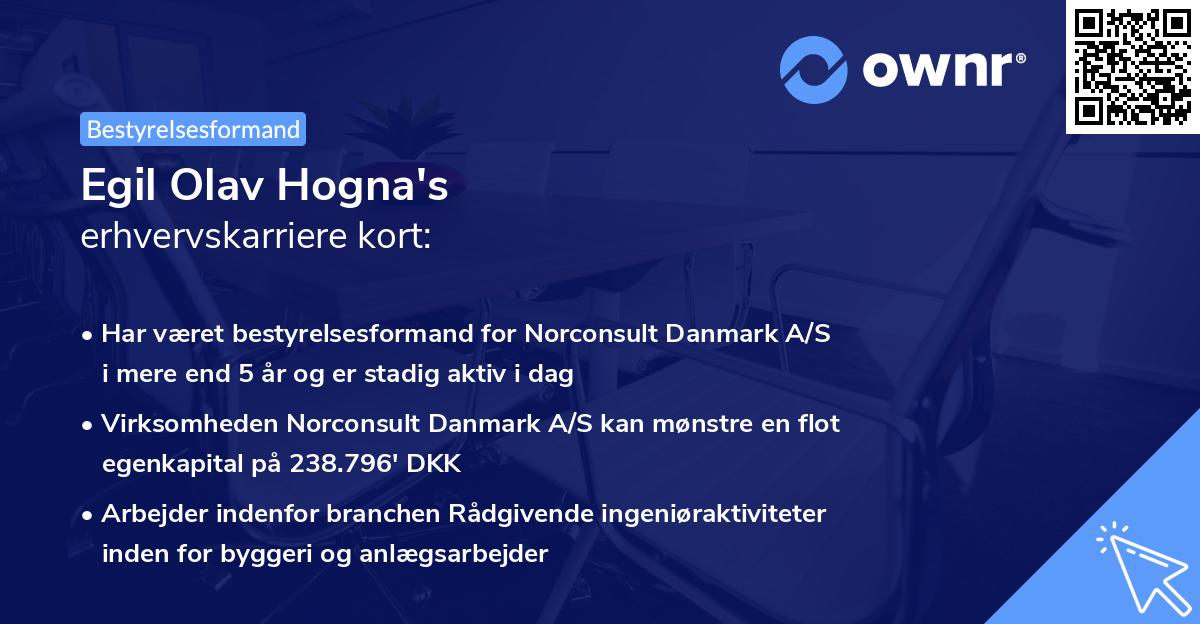 Egil Olav Hogna's erhvervskarriere kort