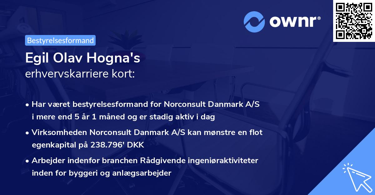Egil Olav Hogna's erhvervskarriere kort