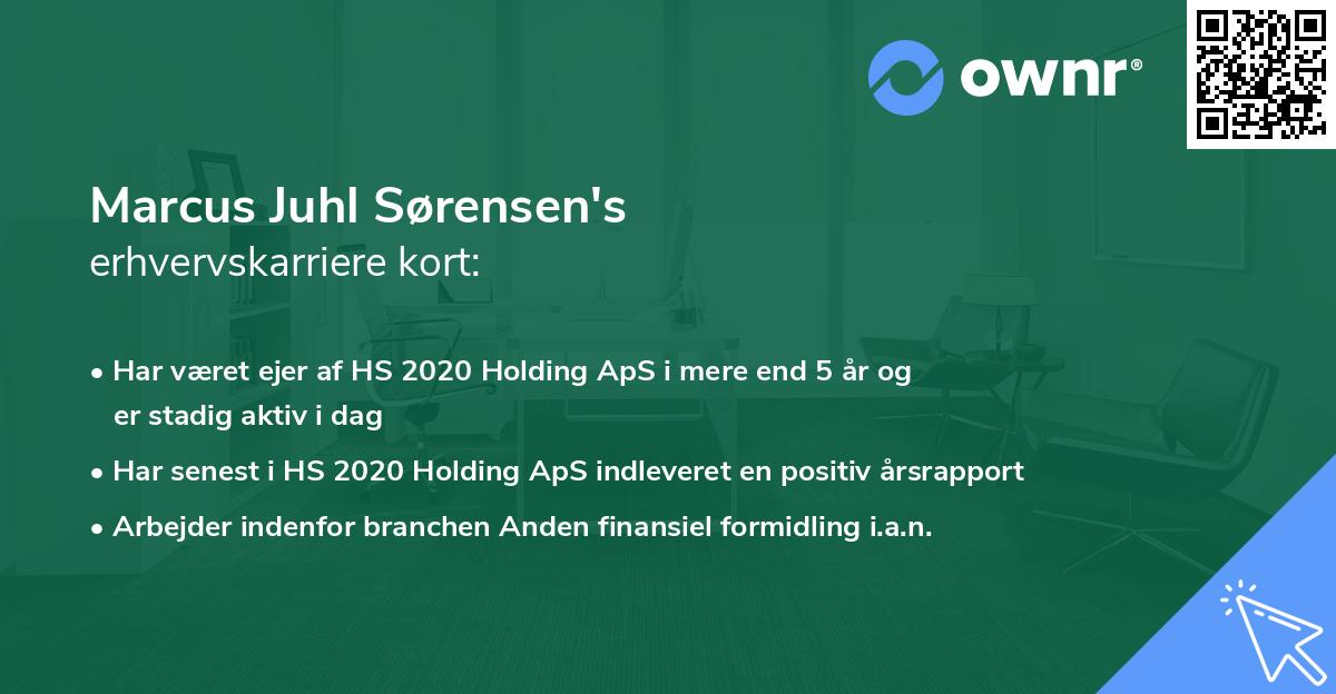 Marcus Juhl Sørensen's erhvervskarriere kort