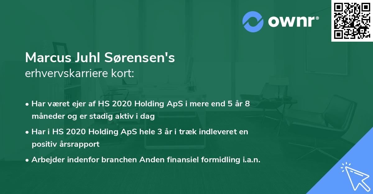 Marcus Juhl Sørensen's erhvervskarriere kort