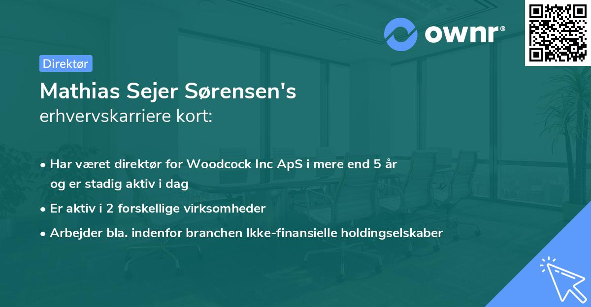 Mathias Sejer Sørensen's erhvervskarriere kort