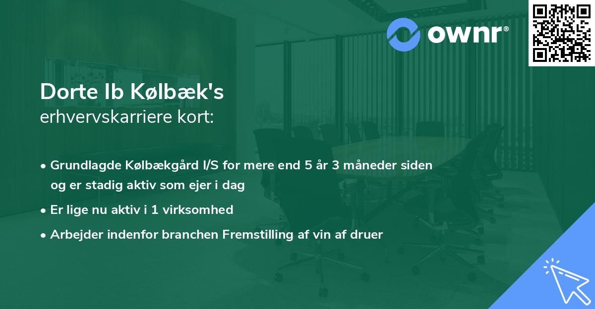 Dorte Ib Kølbæk's erhvervskarriere kort