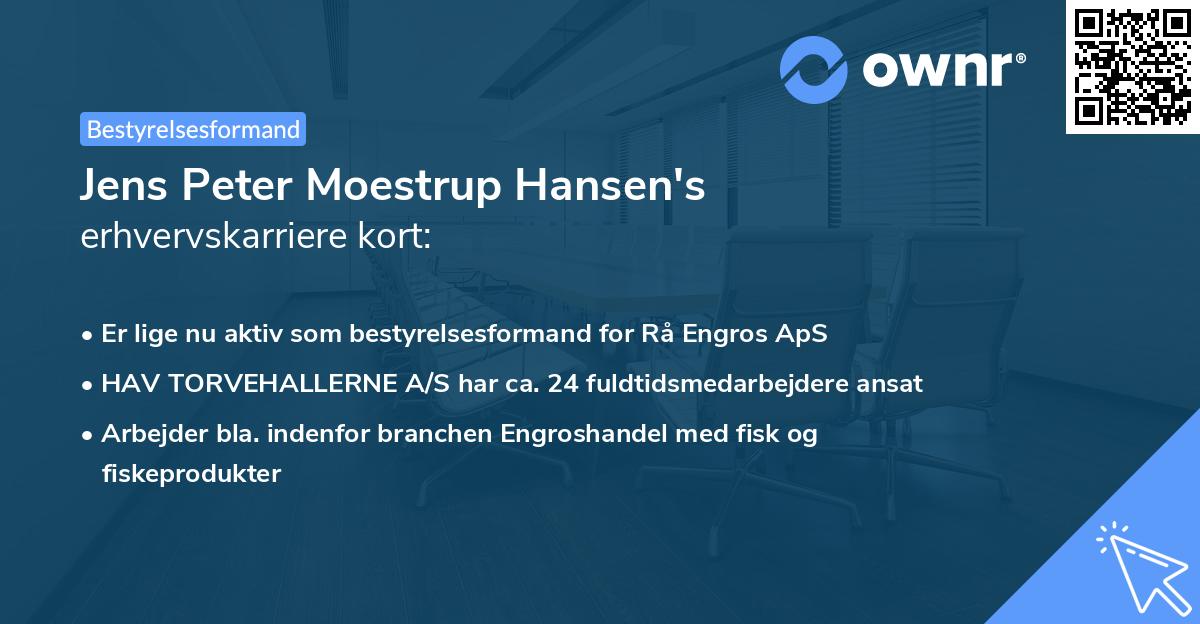 Jens Peter Moestrup Hansen's erhvervskarriere kort