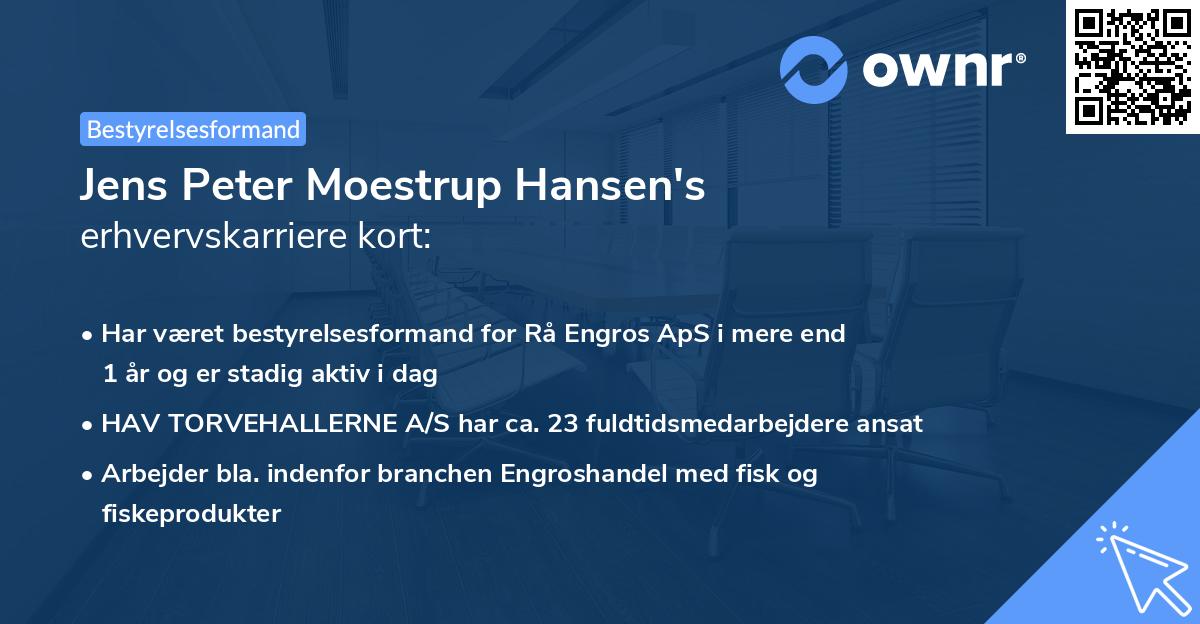 Jens Peter Moestrup Hansen's erhvervskarriere kort