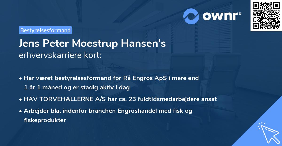 Jens Peter Moestrup Hansen's erhvervskarriere kort