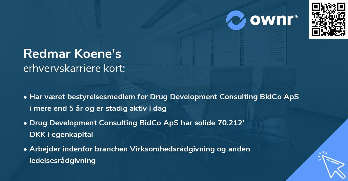 Redmar Koene's erhvervskarriere kort