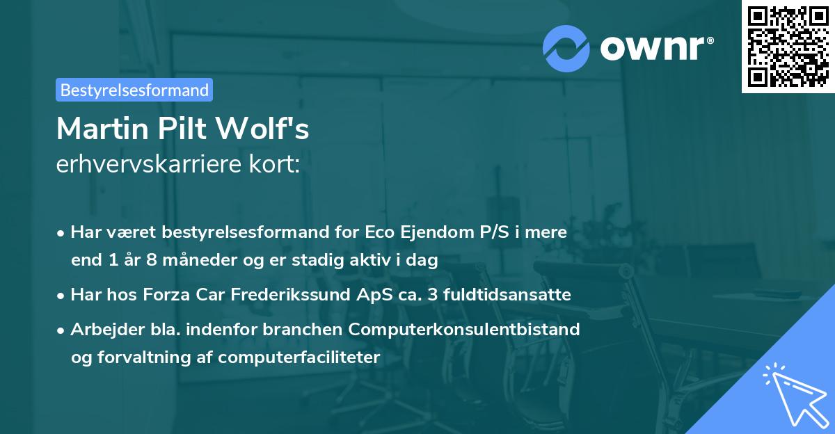 Martin Pilt Wolf's erhvervskarriere kort