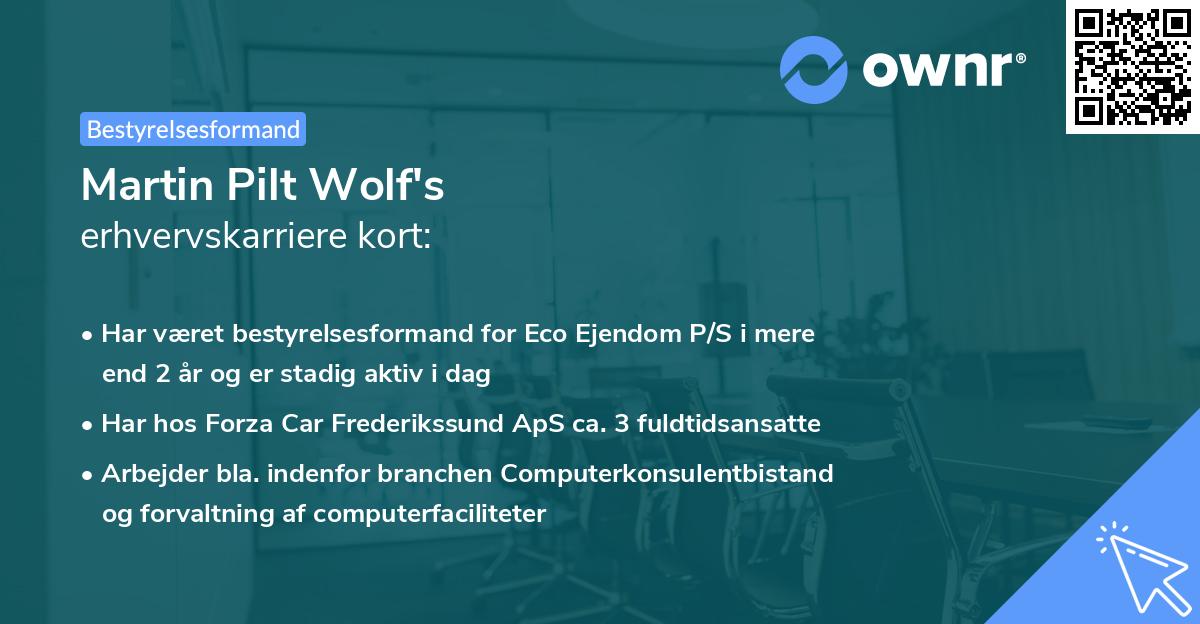 Martin Pilt Wolf's erhvervskarriere kort