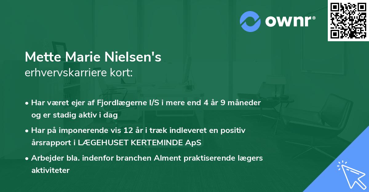 Mette Marie Nielsen's erhvervskarriere kort