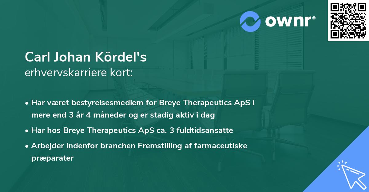 Carl Johan Kördel's erhvervskarriere kort