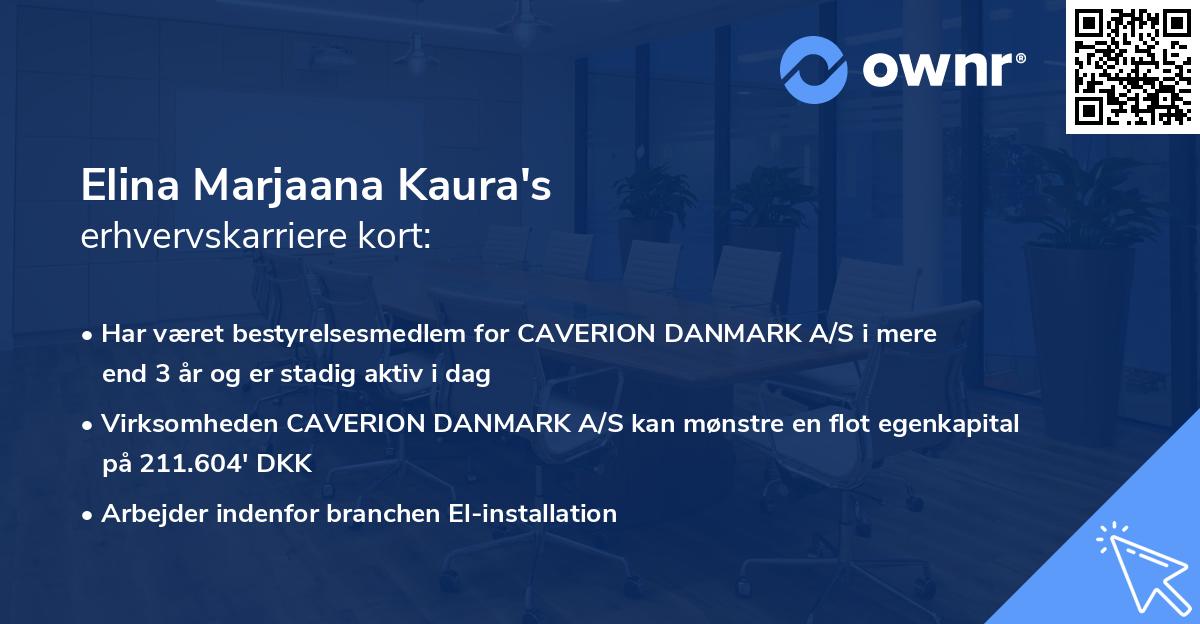 Elina Marjaana Kaura's erhvervskarriere kort