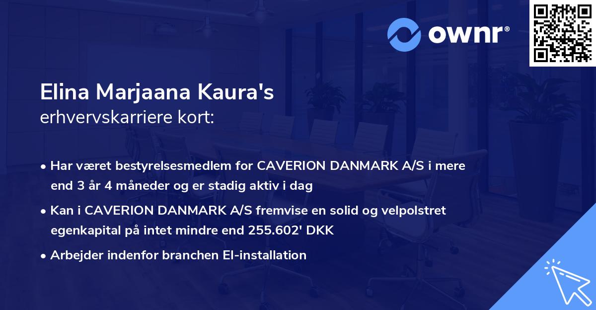 Elina Marjaana Kaura's erhvervskarriere kort