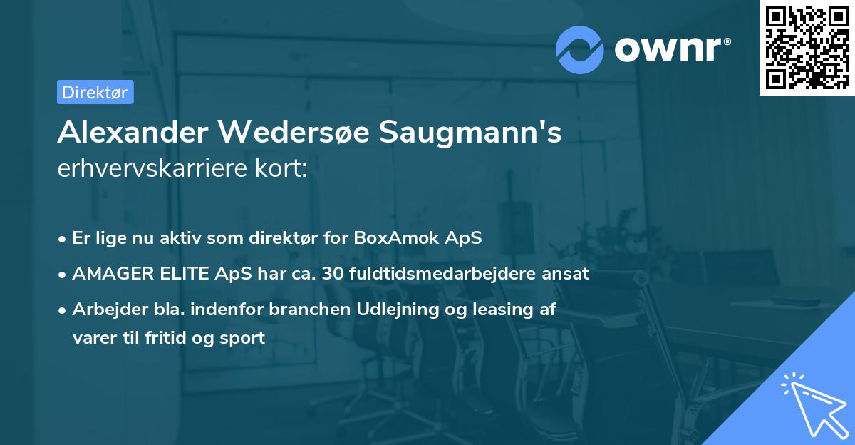Alexander Wedersøe Saugmann's erhvervskarriere kort