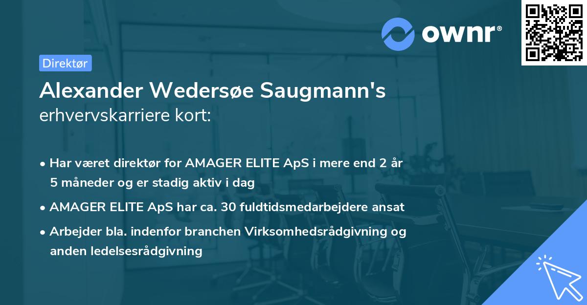 Alexander Wedersøe Saugmann's erhvervskarriere kort
