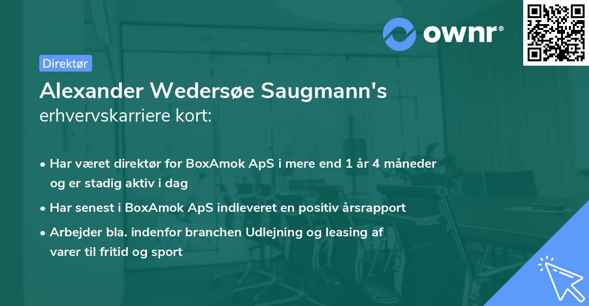 Alexander Wedersøe Saugmann's erhvervskarriere kort