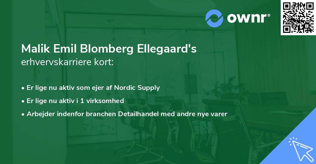 Malik Emil Blomberg Ellegaard's erhvervskarriere kort