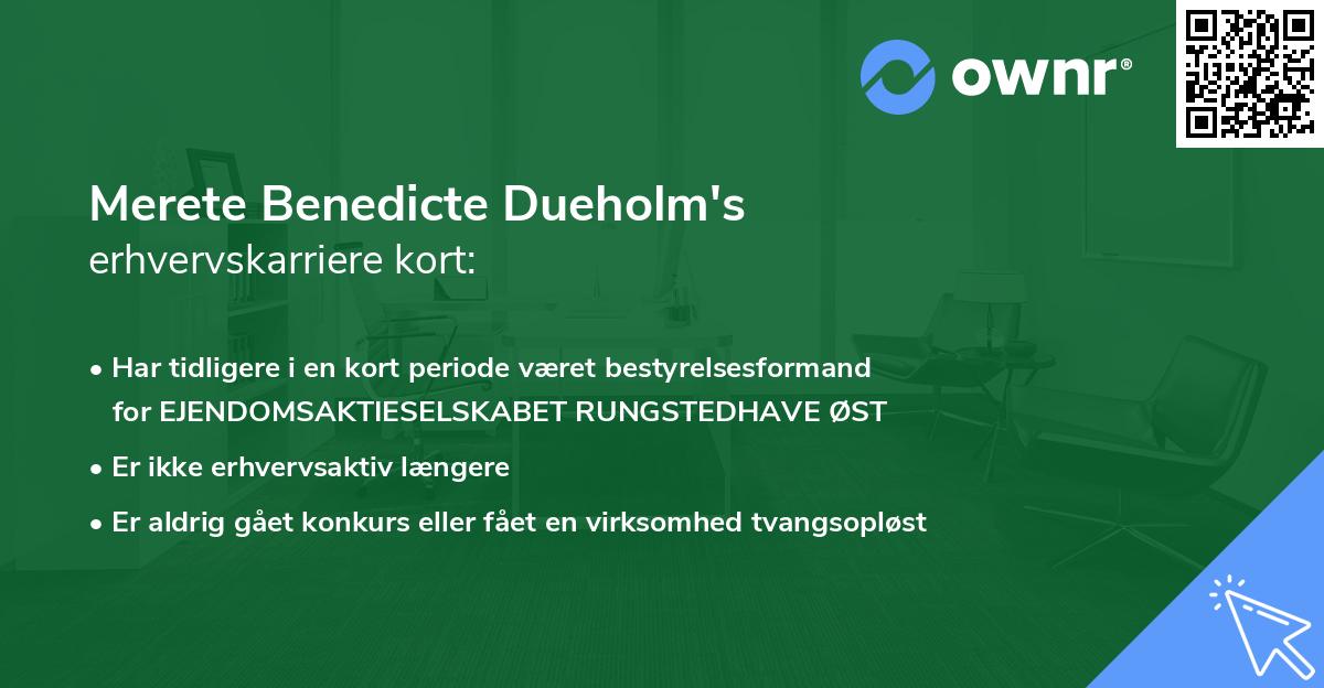 Merete Benedicte Dueholm's erhvervskarriere kort