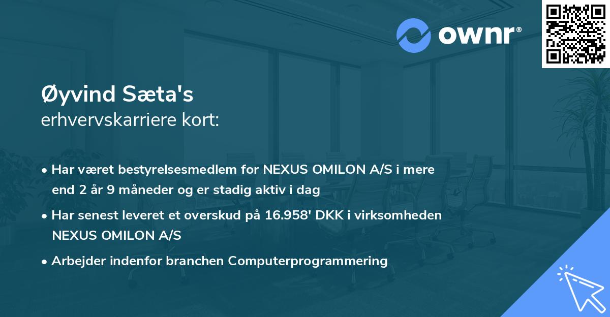 Øyvind Sæta's erhvervskarriere kort