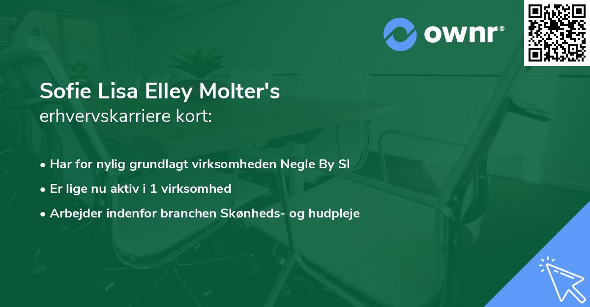 Sofie Lisa Elley Molter's erhvervskarriere kort