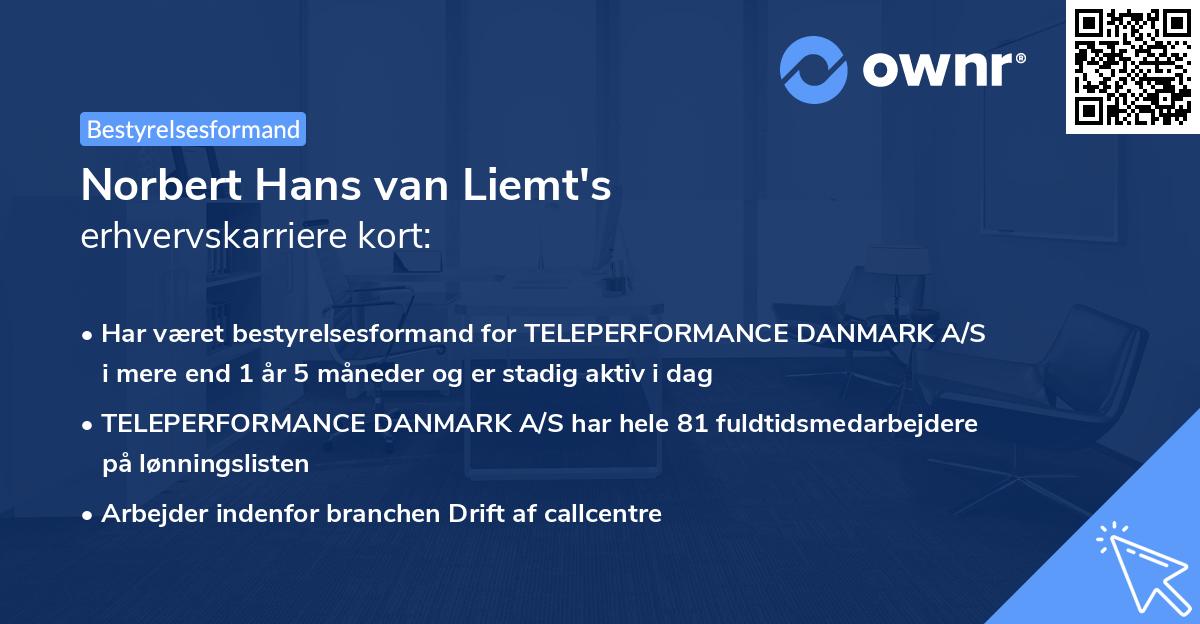 Norbert Hans van Liemt's erhvervskarriere kort