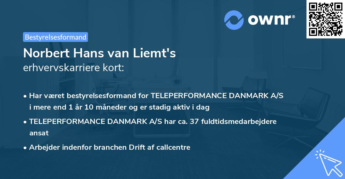 Norbert Hans van Liemt's erhvervskarriere kort