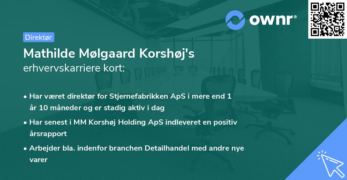 Mathilde Mølgaard Korshøj's erhvervskarriere kort