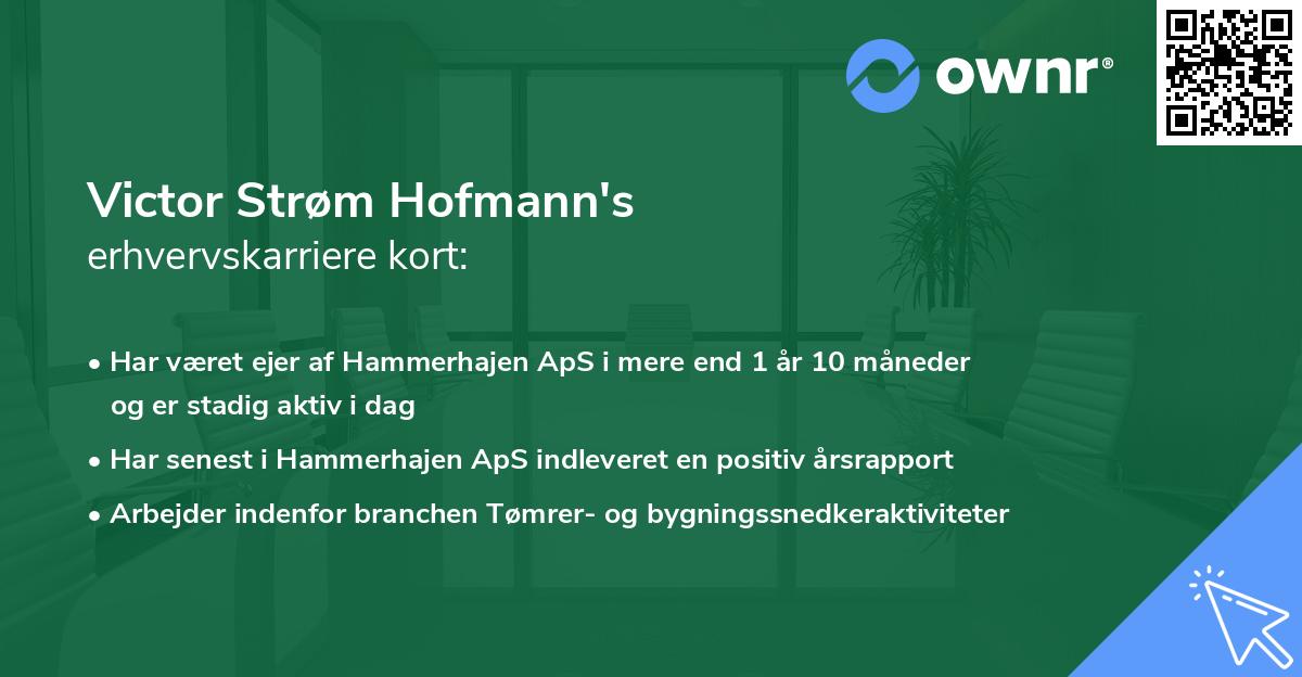 Victor Strøm Hofmann's erhvervskarriere kort