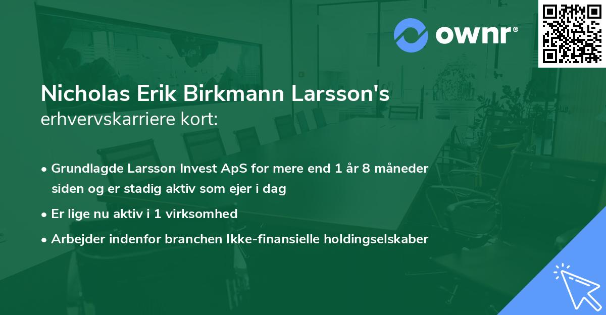Nicholas Erik Birkmann Larsson's erhvervskarriere kort