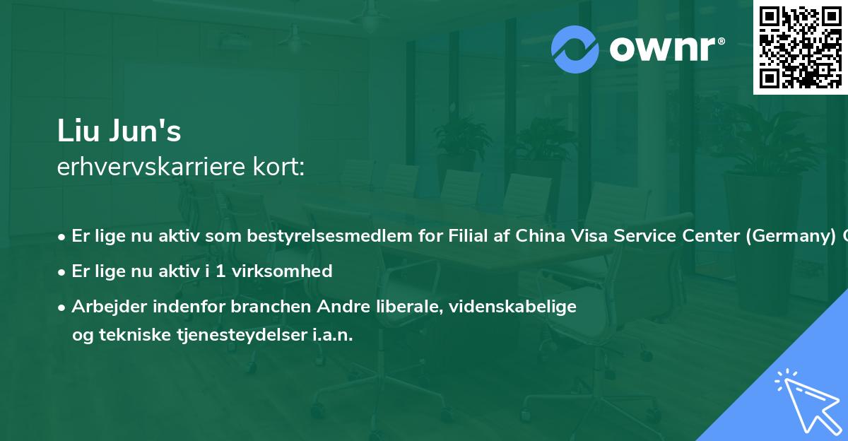 Liu Jun's erhvervskarriere kort