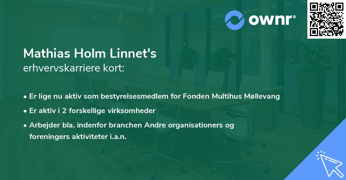Mathias Holm Linnet's erhvervskarriere kort