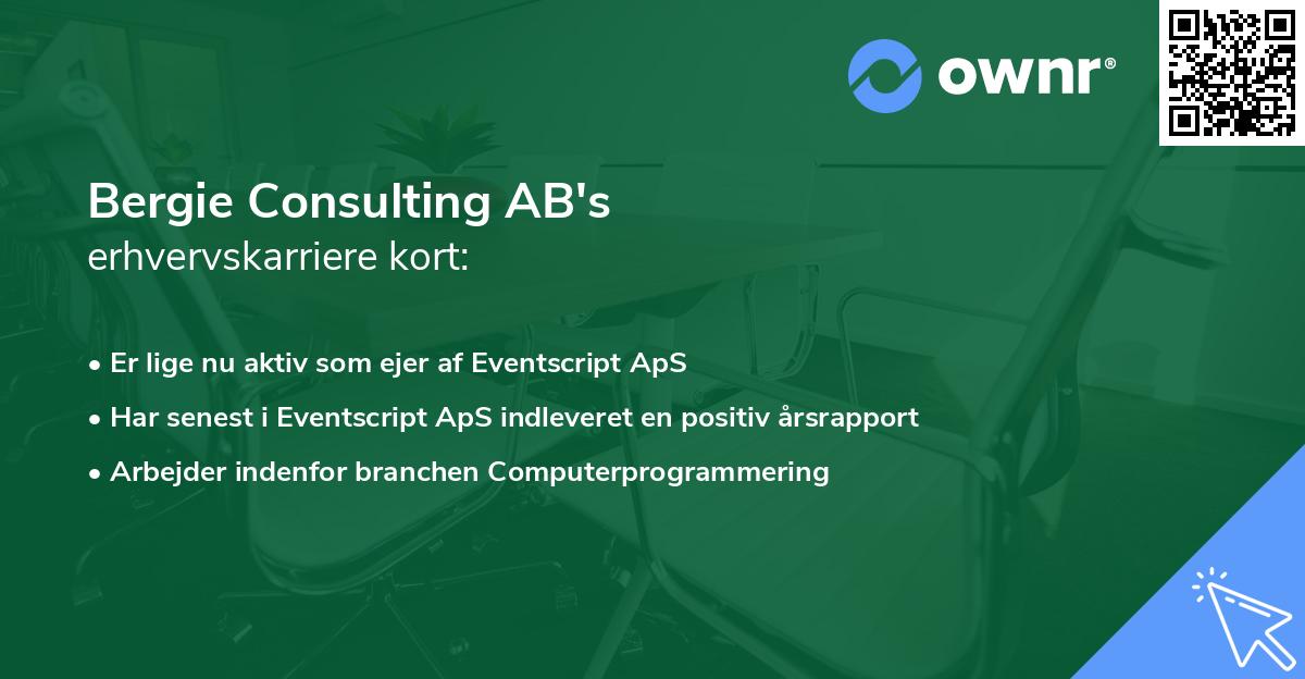 Bergie Consulting AB's erhvervskarriere kort