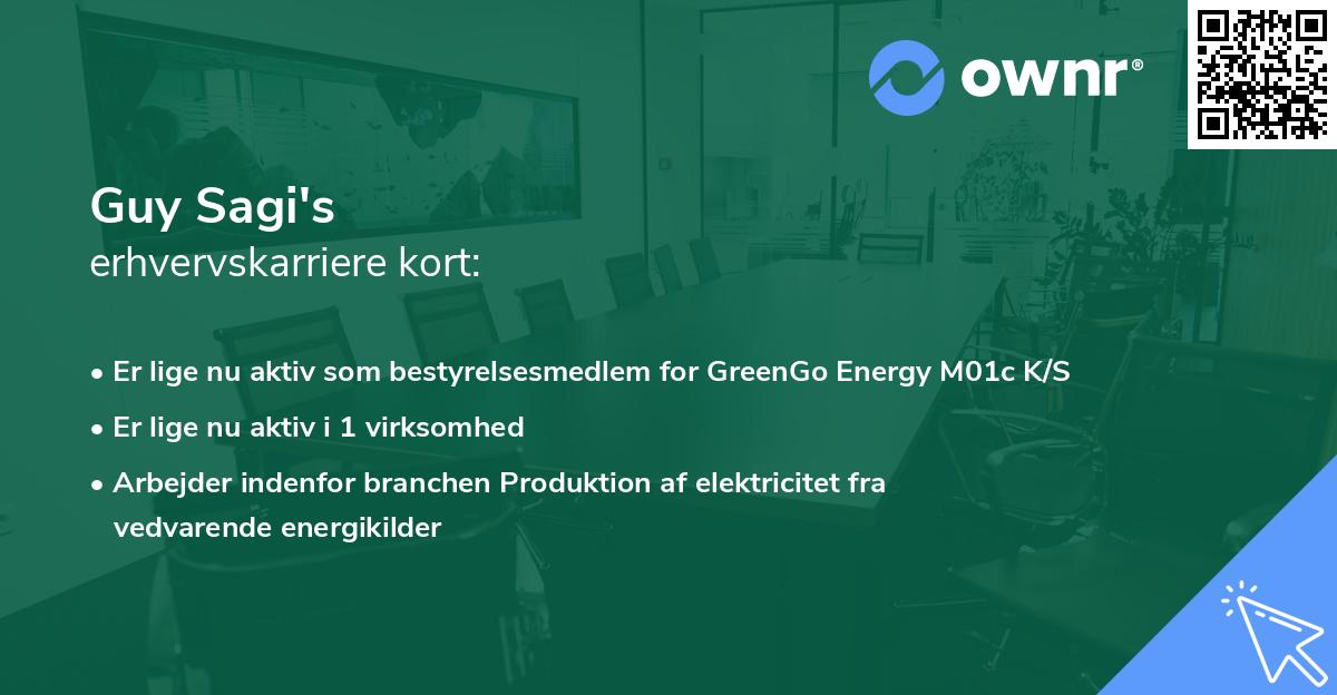 Guy Sagi's erhvervskarriere kort