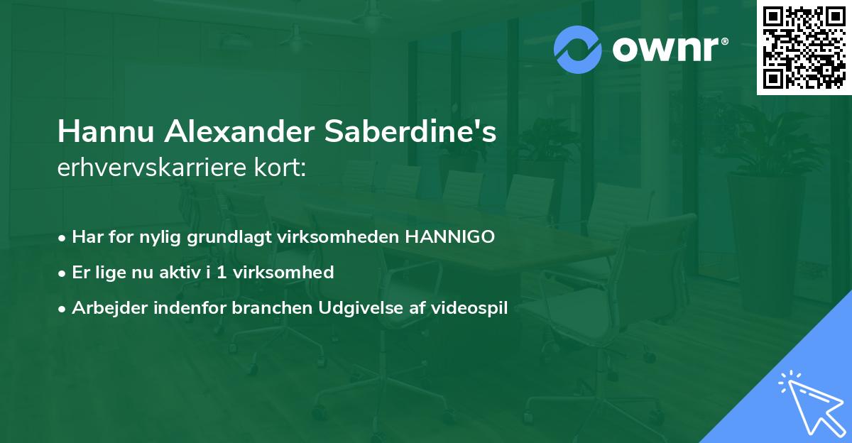 Hannu Alexander Saberdine's erhvervskarriere kort