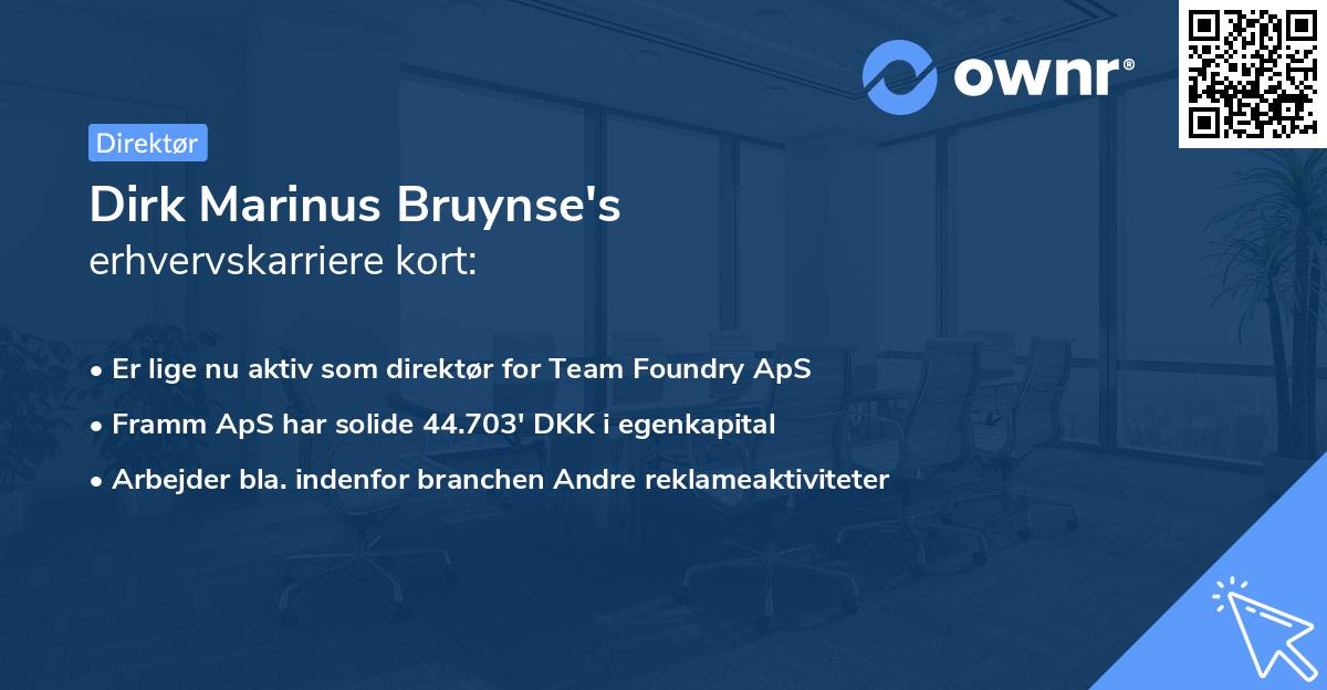 Dirk Marinus Bruynse's erhvervskarriere kort