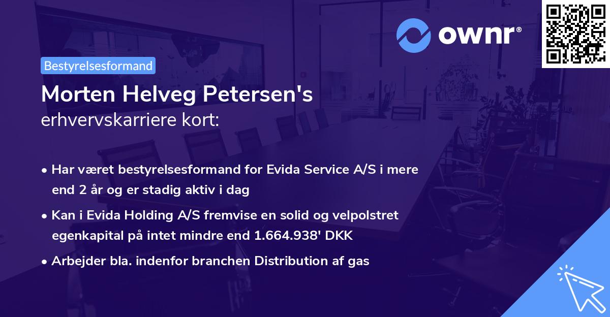 Morten Helveg Petersen's erhvervskarriere kort
