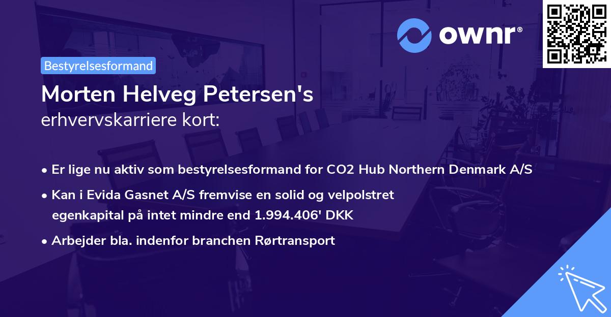 Morten Helveg Petersen's erhvervskarriere kort