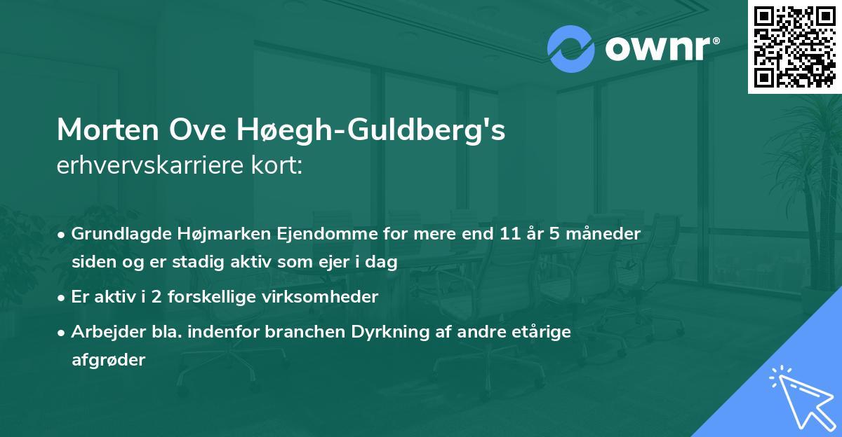 Morten Ove Høegh-Guldberg's erhvervskarriere kort