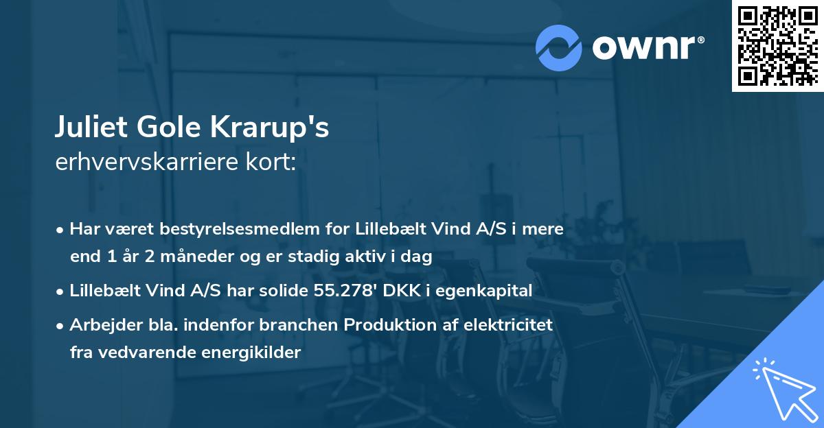 Juliet Gole Krarup's erhvervskarriere kort