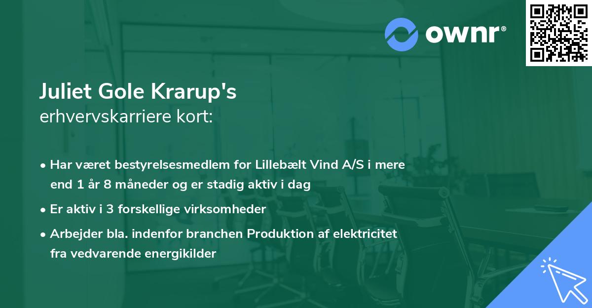 Juliet Gole Krarup's erhvervskarriere kort