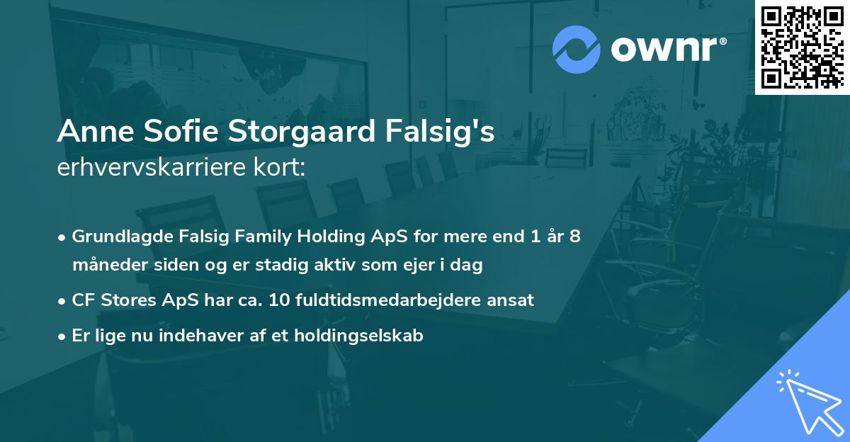 Anne Sofie Storgaard Falsig's erhvervskarriere kort