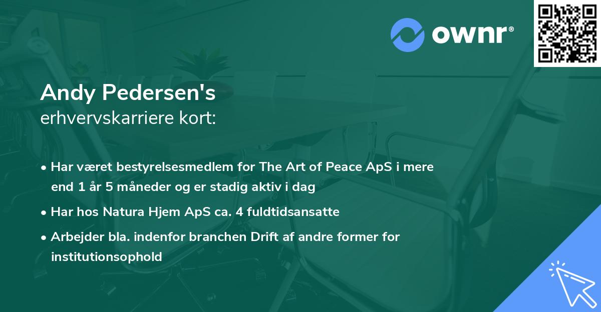 Andy Pedersen's erhvervskarriere kort