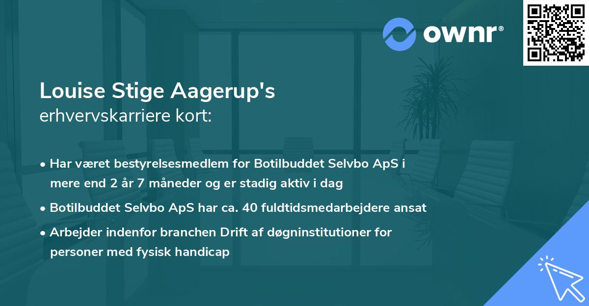 Louise Stige Aagerup's erhvervskarriere kort