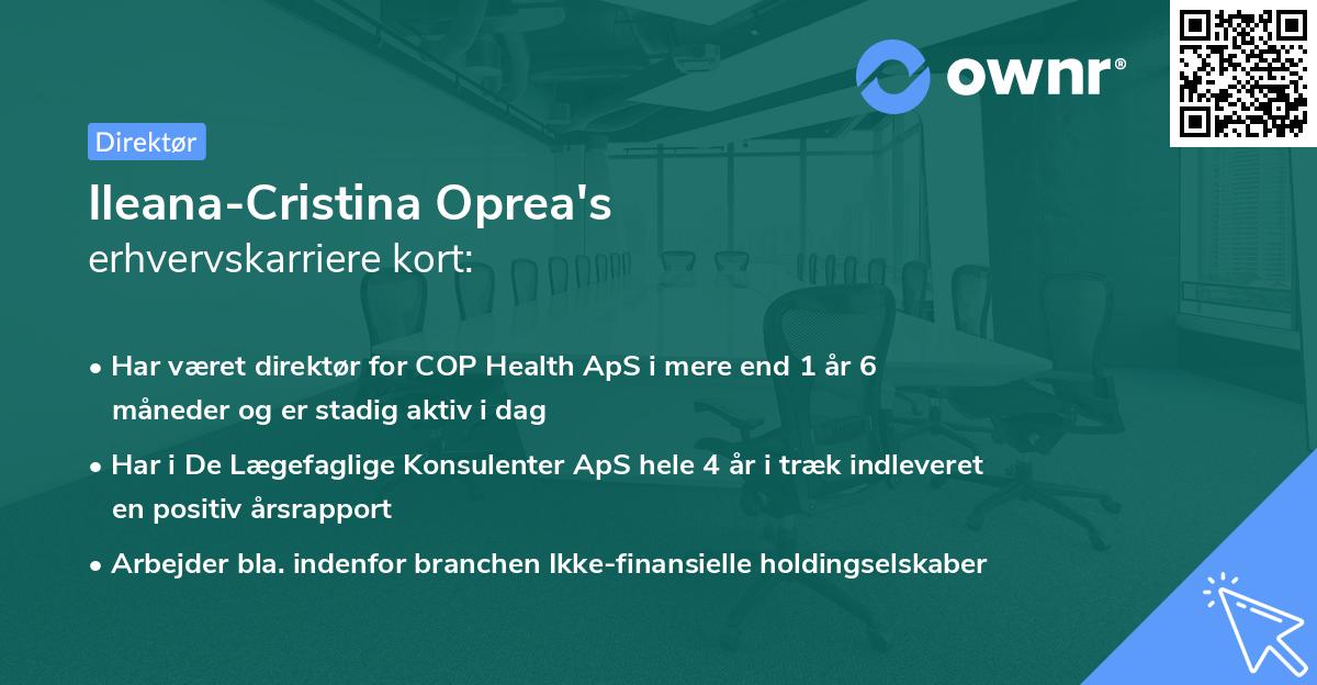 Ileana-Cristina Oprea's erhvervskarriere kort